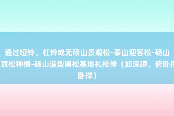 通过哑铃、杠铃或无砀山景观松-泰山迎客松-砀山平顶松种植-砀山造型黑松基地礼检修(如深蹲、俯卧撑)